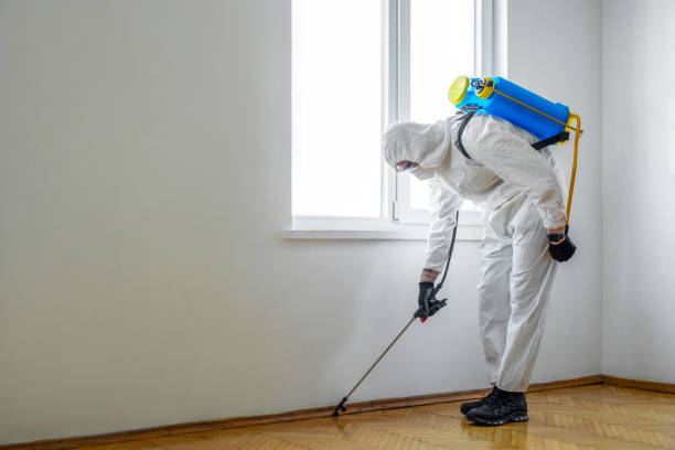 Best Emergency Pest Control  in Moundridge, KS