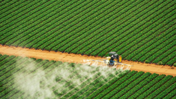 Best Ant Control Services  in Moundridge, KS