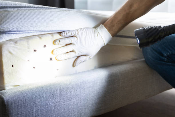 Best Mosquito Control Services  in Moundridge, KS
