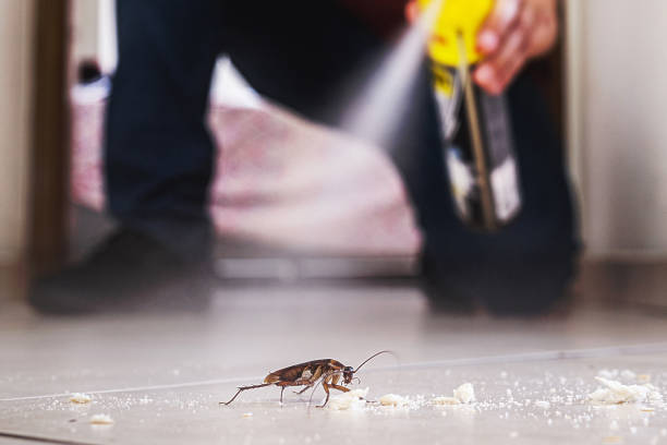 Trusted Moundridge, KS Pest Control Experts
