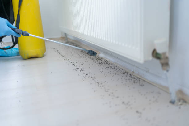 Best Wildlife Control Services  in Moundridge, KS