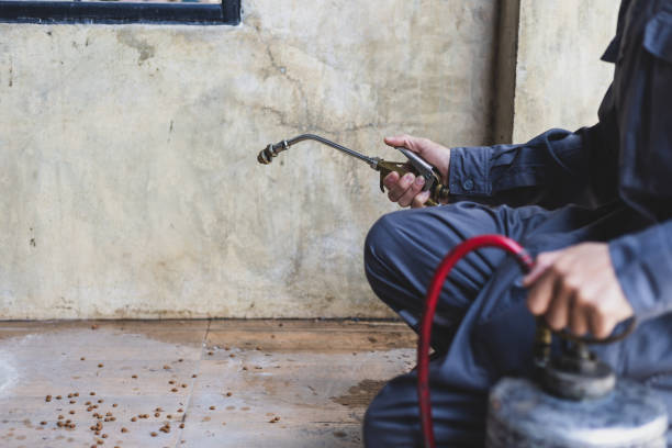 Best Pest Control for Businesses  in Moundridge, KS