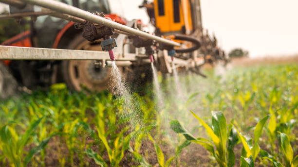 Best Local Pest Control Services  in Moundridge, KS
